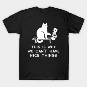THIS IS WHY WE CAN'T HAVE NICE THINGS T-Shirt