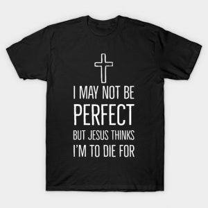 I may not be a Perfect T-Shirt